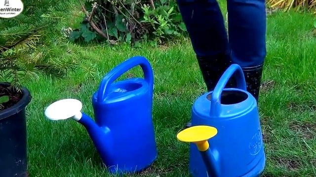 Сажаем хвойное дерево смотреть онлайн