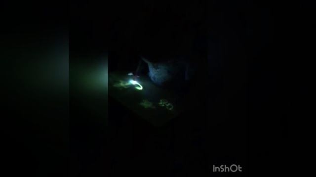 Я и мой планшет для рисования светом смотреть онлайн