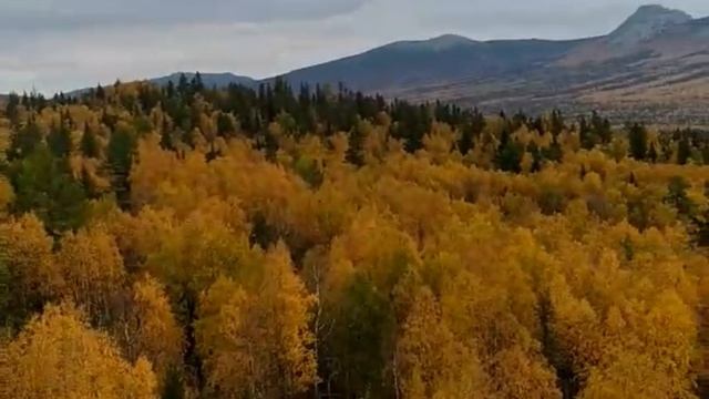 Зачем надо креститься?? в гостях у бабушки в мире книг . смотреть онлайн