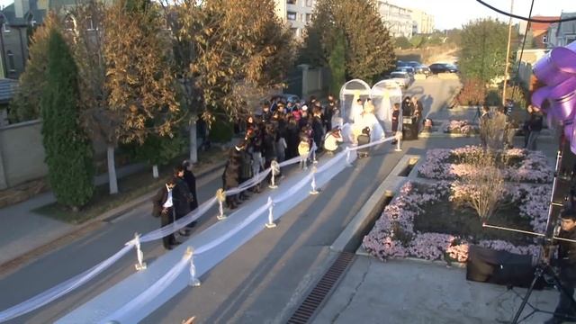 Регистрация Дениса и Алены смотреть онлайн