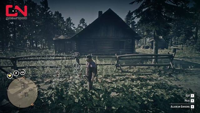 All 5 Alaskan Ginseng Plants in One Location - RDR2 Online Daily Challenge Pick 5 Alaskan Ginseng смотреть онлайн