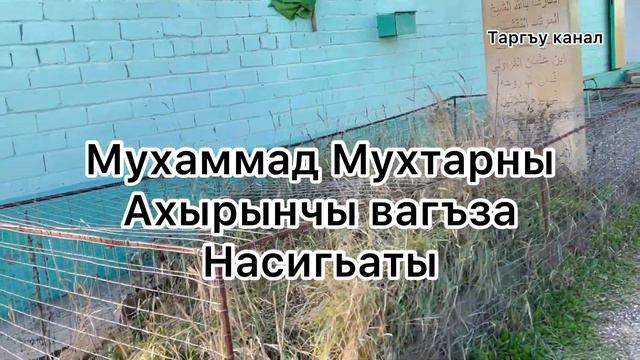 Шейх Мухаммад Мухтар رحمه الله Кяхулайский смотреть онлайн