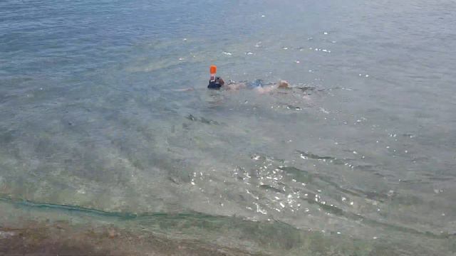 Маска. Научился нырять и смотреть под водой дно. смотреть онлайн