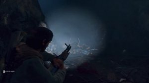 Days Gone орда в пещере