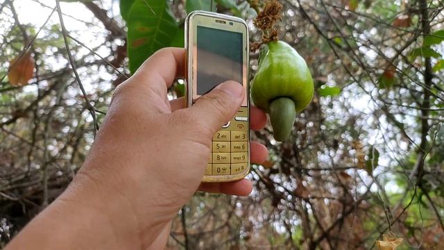 Trả Lời Bình Luận Phần 70 | Top Smartphone Android Nhỏ Gọn Đáng Mua nhất | hóng hớt công nghệ смотреть онлайн