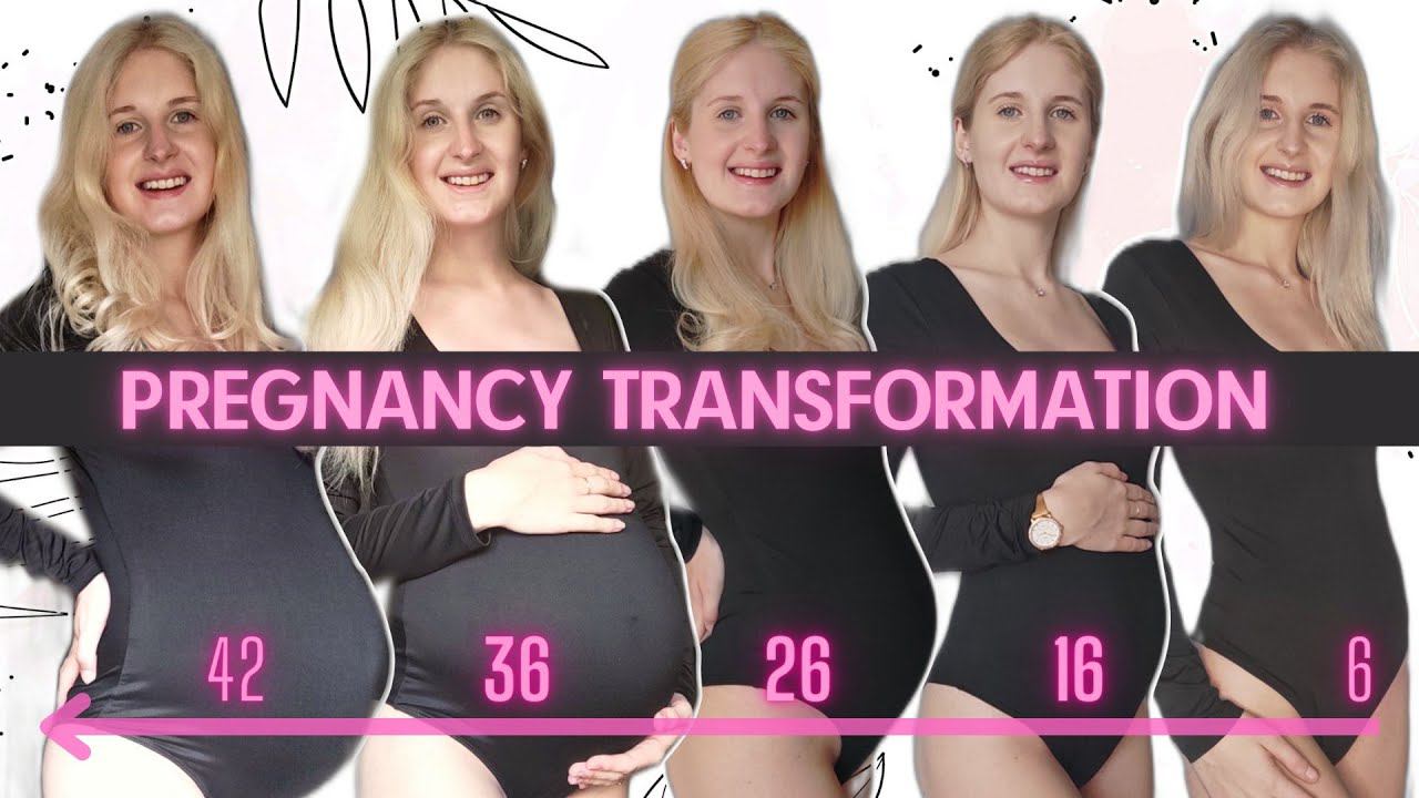 PREGNANCY TRANSFORMATION Беременность по неделям Pregnancy Week by Week смотреть онлайн