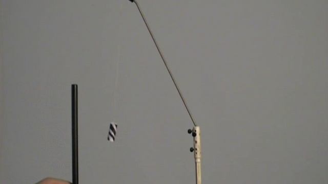 Взаимодействие диэлектрика с заряженной палочкой смотреть онлайн