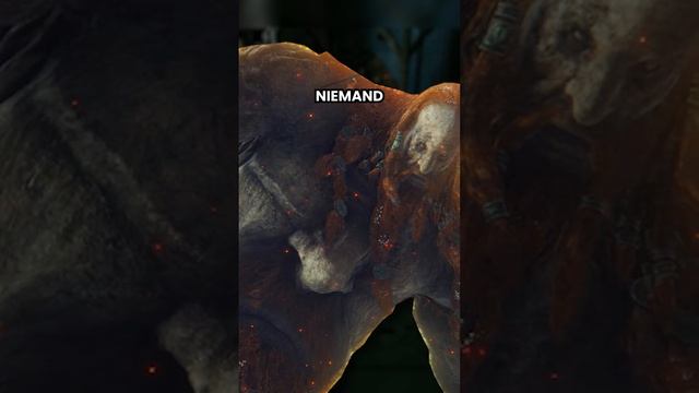ALLE ELDEN RING BOSSE IN 34 SEKUNDEN #eldenring #eldenringdlc #eldenringgameplay смотреть онлайн