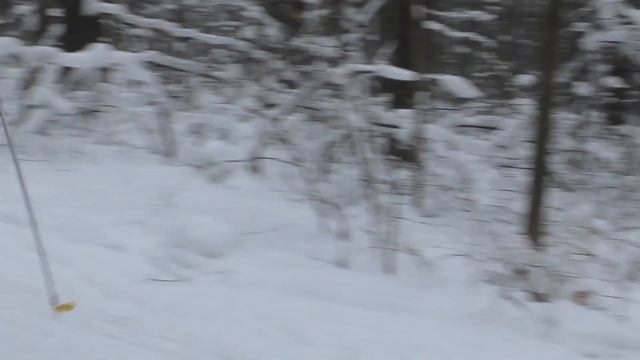 Новогодние старты 2018 смотреть онлайн