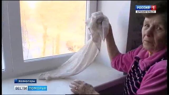 Из-за чего холмогорские новостройки не прошли испытание зимой? смотреть онлайн