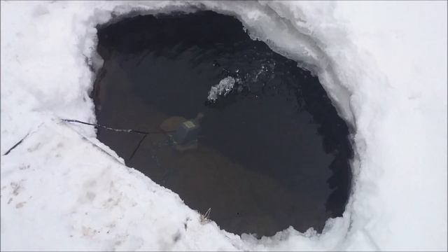 Как я поддерживаю лунку в пруду зимой с карпами кои. смотреть онлайн