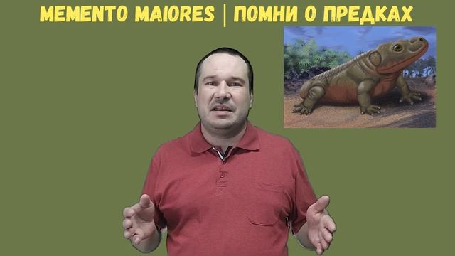Эволюция уха и немного о теплокровности. Помни о предках смотреть онлайн