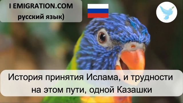 История принятия Ислама и трудности на э смотреть онлайн