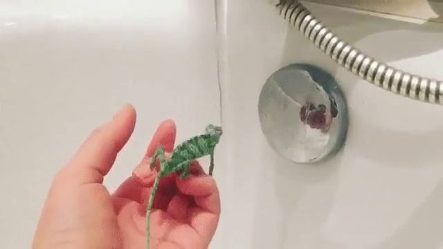 хамелеон и вода / chameleon and water смотреть онлайн