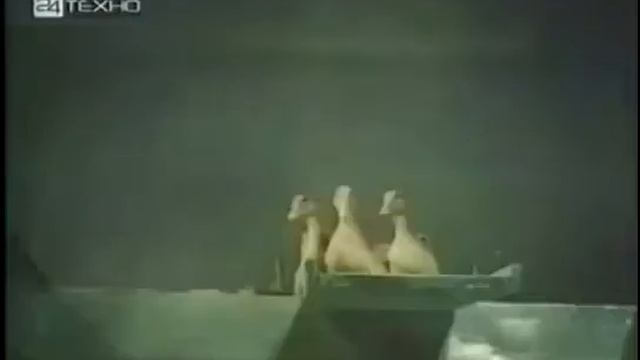 Научение. Условные рефлексы. Животные. смотреть онлайн