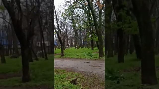 БЕЛЫЕ ЕДИНОРОГИ #shots Как похудеть навсегда без диет дома Лайфхак для худеющих смотреть онлайн