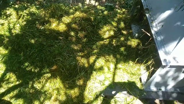 Траворезка, измельчитель травы, ботвы, соломы, сена. смотреть онлайн