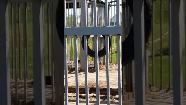 Не дай занять место в твоей душе зверю смотреть онлайн