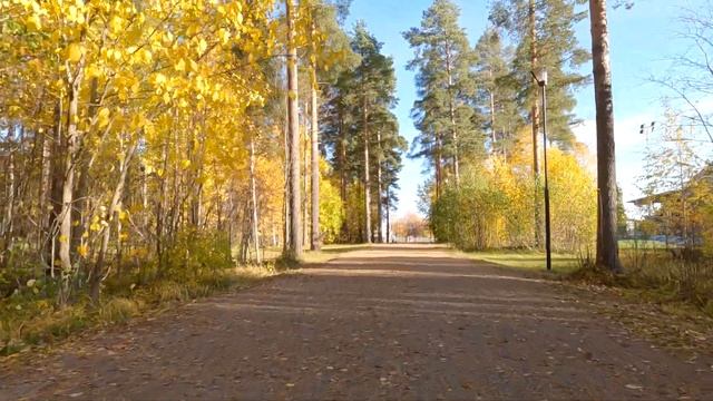 Катаюсь в пригороде / городские дачи. смотреть онлайн