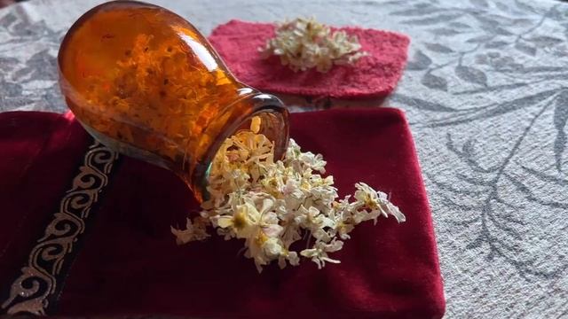 Ветреница магические свойства смотреть онлайн