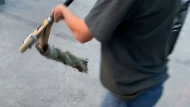 ГАЗОН НА ДЕКЕ?!?!ЗАЧЕМ?!?! смотреть онлайн