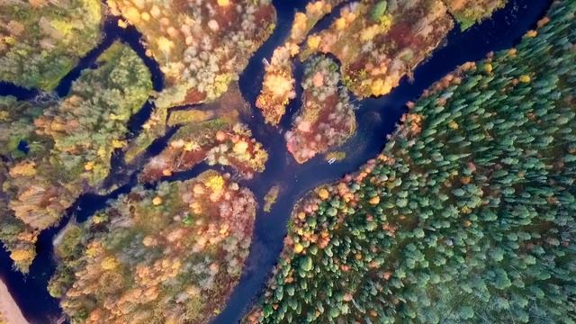 РАЗДАЧА ХАРИУСА НА КОЛЬСКОМ | ОБЕД РЫБАКОВ | ВОДОМЁТ ПРОТИВ СЛОЖНЫХ ПОРОГОВ смотреть онлайн
