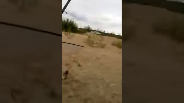 поймал сазана на Казанке. Рыбалка в Казани. Streetfishing смотреть онлайн