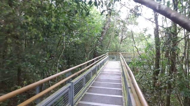 4K Walking around Iguazu falls Argentina. Caminando por las cataratas de Iguazú Argentina. смотреть онлайн