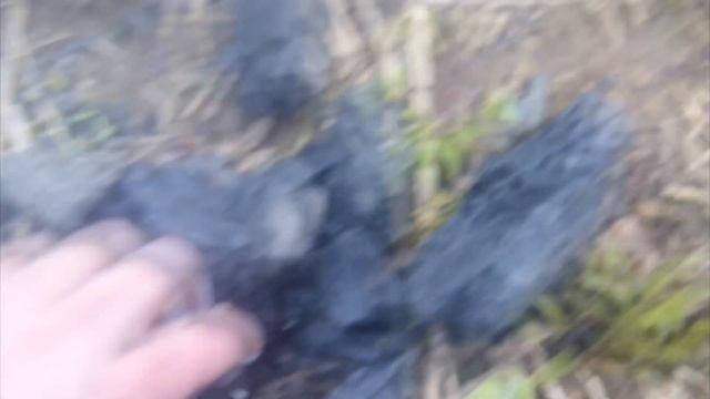 Получение оксида кальция смотреть онлайн