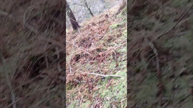 Wicklow 🌊 power scort Water fall 🍁🍁 Dublin смотреть онлайн