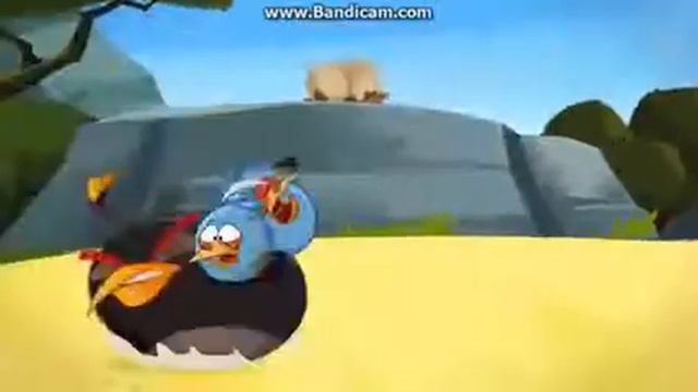 Angry Birds Toons El Porkador en hd смотреть онлайн