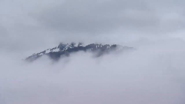 Web Exclusive - Court Larabee Interview смотреть онлайн