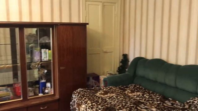Обзор двухкомнатной квартиры в городе Пушкино, проезд Розанова, 5 смотреть онлайн