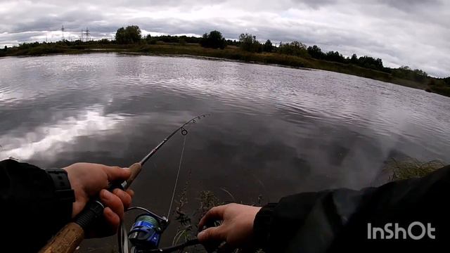 грибы, ягоды, рыбалка смотреть онлайн