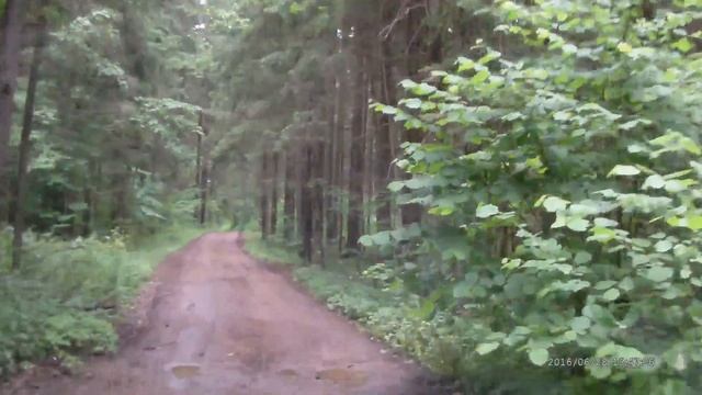Дорога до озера Глубокое смотреть онлайн