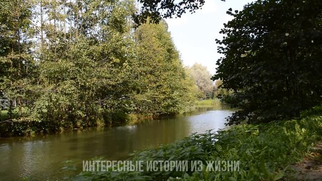 УТЕШИЛА МЕНЯ РАЗОК И ПРИСОСАЛАСЬ. Измена жены. Жизненные истории и аудио рассказы