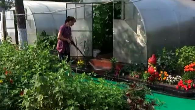 КРЕСТЬЯНСКО-ФЕРМЕРСКОЕ ХОЗЯЙСТВО В РАДУЖНОМ смотреть онлайн