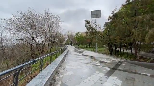 Признаю камера самсунга лучше