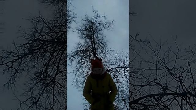 Стремный олень из снега! смотреть онлайн