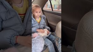 Мальтийская болонка. Первый день в новом доме.