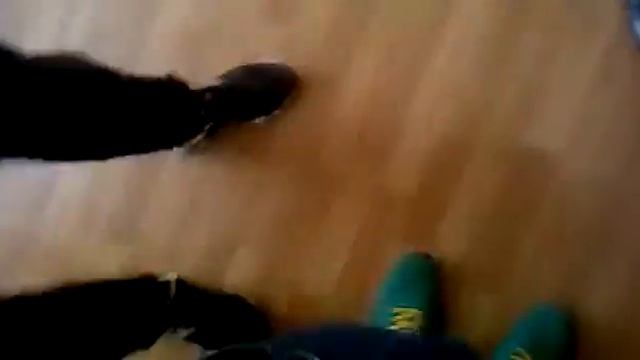 Кодора 2 смотреть онлайн