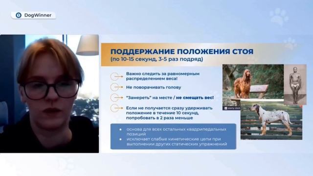 Почему поддержание положения стоя - основа упражнений на улучшение координации тела у собак? смотреть онлайн