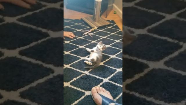 Foster mommy 1 смотреть онлайн