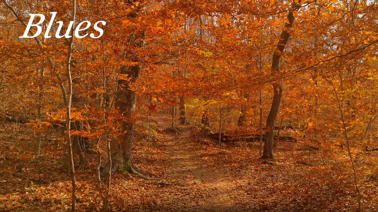 Осенний блюз 034. & Autumn blues. смотреть онлайн