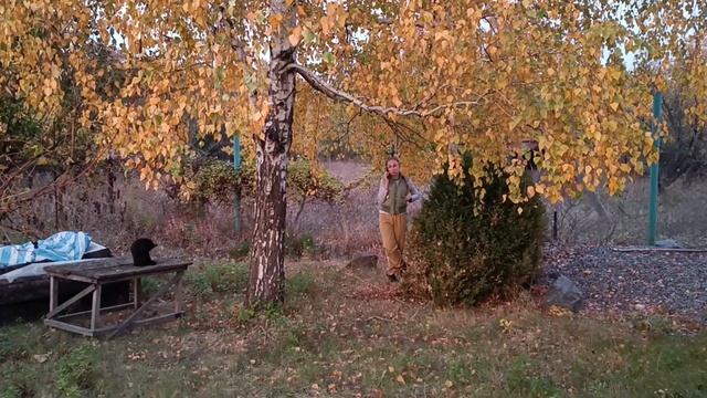 Поездка с ночёвкой на дачу в октябре смотреть онлайн