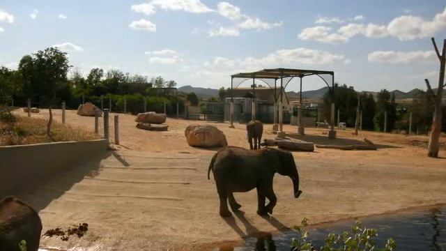 Зоопарки мира,Тунис смотреть онлайн