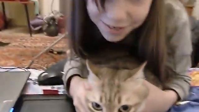 CIMG3624.AVI смотреть онлайн