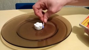 Опыт. Фараонова змея из глюконата кальция