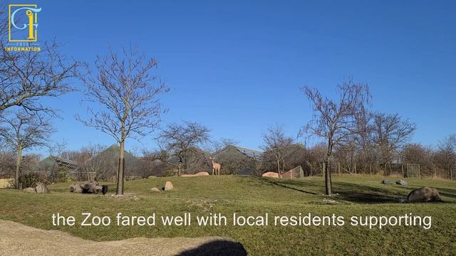 toronto zoo tour смотреть онлайн