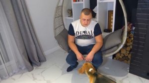 СОФИЯ И ШЕРЛОК . Софунья Шалунья